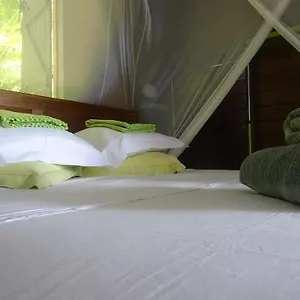 https://le-matelot-de-la-baie.comcaribbean.com